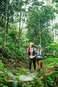 BIB: 
                            <button type="button" onclick="openModal(26394313)" class="btn btn-primary btn-sm float-right btn-popup" data-toggle="modal" data-target=".modal-high-quality">
                        <i class="fas fa-shopping-cart"></i> Add to Cart
                    </button>
                                            <button type="button" onclick="isThisMe(26394313, true)" class="btn btn-success btn-sm float-right btn-popup btn-isme hidden" data-toggle="tooltip" data-placement="bottom" title="นี่คือรูปของคุณใช่ไหม คลิกที่นี่เพื่อเอาเข้าอัลบั้ม">
                        <i class="fas fa-plus"></i> Add to album
                    </button>
                    <button type="button" onclick="isThisMe(26394313, false)" class="btn btn-warning btn-sm float-right btn-popup btn-isnotme hidden">
                        <i class="fas fa-ban"></i> Remove from album
                    </button>