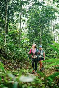 BIB: 
                            <button type="button" onclick="openModal(26394307)" class="btn btn-primary btn-sm float-right btn-popup" data-toggle="modal" data-target=".modal-high-quality">
                        <i class="fas fa-shopping-cart"></i> Add to Cart
                    </button>
                                            <button type="button" onclick="isThisMe(26394307, true)" class="btn btn-success btn-sm float-right btn-popup btn-isme hidden" data-toggle="tooltip" data-placement="bottom" title="นี่คือรูปของคุณใช่ไหม คลิกที่นี่เพื่อเอาเข้าอัลบั้ม">
                        <i class="fas fa-plus"></i> Add to album
                    </button>
                    <button type="button" onclick="isThisMe(26394307, false)" class="btn btn-warning btn-sm float-right btn-popup btn-isnotme hidden">
                        <i class="fas fa-ban"></i> Remove from album
                    </button>