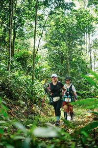 BIB: 
                            <button type="button" onclick="openModal(26397252)" class="btn btn-primary btn-sm float-right btn-popup" data-toggle="modal" data-target=".modal-high-quality">
                        <i class="fas fa-shopping-cart"></i> Add to Cart
                    </button>
                                            <button type="button" onclick="isThisMe(26397252, true)" class="btn btn-success btn-sm float-right btn-popup btn-isme hidden" data-toggle="tooltip" data-placement="bottom" title="นี่คือรูปของคุณใช่ไหม คลิกที่นี่เพื่อเอาเข้าอัลบั้ม">
                        <i class="fas fa-plus"></i> Add to album
                    </button>
                    <button type="button" onclick="isThisMe(26397252, false)" class="btn btn-warning btn-sm float-right btn-popup btn-isnotme hidden">
                        <i class="fas fa-ban"></i> Remove from album
                    </button>