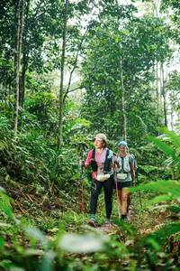 BIB: 
                            <button type="button" onclick="openModal(26394312)" class="btn btn-primary btn-sm float-right btn-popup" data-toggle="modal" data-target=".modal-high-quality">
                        <i class="fas fa-shopping-cart"></i> Add to Cart
                    </button>
                                            <button type="button" onclick="isThisMe(26394312, true)" class="btn btn-success btn-sm float-right btn-popup btn-isme hidden" data-toggle="tooltip" data-placement="bottom" title="นี่คือรูปของคุณใช่ไหม คลิกที่นี่เพื่อเอาเข้าอัลบั้ม">
                        <i class="fas fa-plus"></i> Add to album
                    </button>
                    <button type="button" onclick="isThisMe(26394312, false)" class="btn btn-warning btn-sm float-right btn-popup btn-isnotme hidden">
                        <i class="fas fa-ban"></i> Remove from album
                    </button>