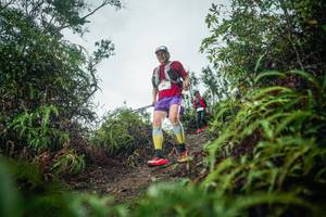 BIB: 
                            <button type="button" onclick="openModal(26199141)" class="btn btn-primary btn-sm float-right btn-popup" data-toggle="modal" data-target=".modal-high-quality">
                        <i class="fas fa-shopping-cart"></i> Add to Cart
                    </button>
                                            <button type="button" onclick="isThisMe(26199141, true)" class="btn btn-success btn-sm float-right btn-popup btn-isme hidden" data-toggle="tooltip" data-placement="bottom" title="นี่คือรูปของคุณใช่ไหม คลิกที่นี่เพื่อเอาเข้าอัลบั้ม">
                        <i class="fas fa-plus"></i> Add to album
                    </button>
                    <button type="button" onclick="isThisMe(26199141, false)" class="btn btn-warning btn-sm float-right btn-popup btn-isnotme hidden">
                        <i class="fas fa-ban"></i> Remove from album
                    </button>