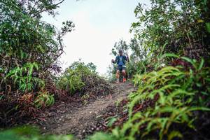 BIB: 
                            <button type="button" onclick="openModal(26199337)" class="btn btn-primary btn-sm float-right btn-popup" data-toggle="modal" data-target=".modal-high-quality">
                        <i class="fas fa-shopping-cart"></i> Add to Cart
                    </button>
                                            <button type="button" onclick="isThisMe(26199337, true)" class="btn btn-success btn-sm float-right btn-popup btn-isme hidden" data-toggle="tooltip" data-placement="bottom" title="นี่คือรูปของคุณใช่ไหม คลิกที่นี่เพื่อเอาเข้าอัลบั้ม">
                        <i class="fas fa-plus"></i> Add to album
                    </button>
                    <button type="button" onclick="isThisMe(26199337, false)" class="btn btn-warning btn-sm float-right btn-popup btn-isnotme hidden">
                        <i class="fas fa-ban"></i> Remove from album
                    </button>