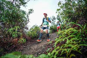 BIB: 
                            <button type="button" onclick="openModal(26199236)" class="btn btn-primary btn-sm float-right btn-popup" data-toggle="modal" data-target=".modal-high-quality">
                        <i class="fas fa-shopping-cart"></i> Add to Cart
                    </button>
                                            <button type="button" onclick="isThisMe(26199236, true)" class="btn btn-success btn-sm float-right btn-popup btn-isme hidden" data-toggle="tooltip" data-placement="bottom" title="นี่คือรูปของคุณใช่ไหม คลิกที่นี่เพื่อเอาเข้าอัลบั้ม">
                        <i class="fas fa-plus"></i> Add to album
                    </button>
                    <button type="button" onclick="isThisMe(26199236, false)" class="btn btn-warning btn-sm float-right btn-popup btn-isnotme hidden">
                        <i class="fas fa-ban"></i> Remove from album
                    </button>