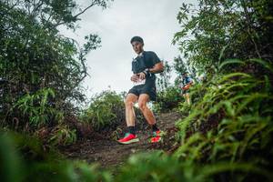 BIB: 
                            <button type="button" onclick="openModal(26199056)" class="btn btn-primary btn-sm float-right btn-popup" data-toggle="modal" data-target=".modal-high-quality">
                        <i class="fas fa-shopping-cart"></i> Add to Cart
                    </button>
                                            <button type="button" onclick="isThisMe(26199056, true)" class="btn btn-success btn-sm float-right btn-popup btn-isme hidden" data-toggle="tooltip" data-placement="bottom" title="นี่คือรูปของคุณใช่ไหม คลิกที่นี่เพื่อเอาเข้าอัลบั้ม">
                        <i class="fas fa-plus"></i> Add to album
                    </button>
                    <button type="button" onclick="isThisMe(26199056, false)" class="btn btn-warning btn-sm float-right btn-popup btn-isnotme hidden">
                        <i class="fas fa-ban"></i> Remove from album
                    </button>