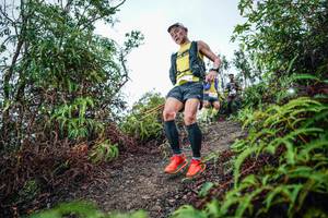 BIB: 
                            <button type="button" onclick="openModal(26199295)" class="btn btn-primary btn-sm float-right btn-popup" data-toggle="modal" data-target=".modal-high-quality">
                        <i class="fas fa-shopping-cart"></i> Add to Cart
                    </button>
                                            <button type="button" onclick="isThisMe(26199295, true)" class="btn btn-success btn-sm float-right btn-popup btn-isme hidden" data-toggle="tooltip" data-placement="bottom" title="นี่คือรูปของคุณใช่ไหม คลิกที่นี่เพื่อเอาเข้าอัลบั้ม">
                        <i class="fas fa-plus"></i> Add to album
                    </button>
                    <button type="button" onclick="isThisMe(26199295, false)" class="btn btn-warning btn-sm float-right btn-popup btn-isnotme hidden">
                        <i class="fas fa-ban"></i> Remove from album
                    </button>