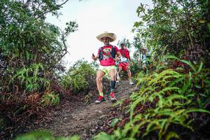 BIB: 
                            <button type="button" onclick="openModal(26199229)" class="btn btn-primary btn-sm float-right btn-popup" data-toggle="modal" data-target=".modal-high-quality">
                        <i class="fas fa-shopping-cart"></i> Add to Cart
                    </button>
                                            <button type="button" onclick="isThisMe(26199229, true)" class="btn btn-success btn-sm float-right btn-popup btn-isme hidden" data-toggle="tooltip" data-placement="bottom" title="นี่คือรูปของคุณใช่ไหม คลิกที่นี่เพื่อเอาเข้าอัลบั้ม">
                        <i class="fas fa-plus"></i> Add to album
                    </button>
                    <button type="button" onclick="isThisMe(26199229, false)" class="btn btn-warning btn-sm float-right btn-popup btn-isnotme hidden">
                        <i class="fas fa-ban"></i> Remove from album
                    </button>