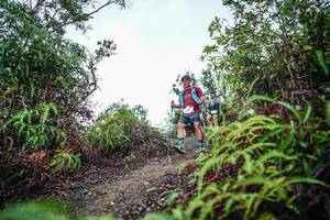 BIB: 
                            <button type="button" onclick="openModal(26199378)" class="btn btn-primary btn-sm float-right btn-popup" data-toggle="modal" data-target=".modal-high-quality">
                        <i class="fas fa-shopping-cart"></i> Add to Cart
                    </button>
                                            <button type="button" onclick="isThisMe(26199378, true)" class="btn btn-success btn-sm float-right btn-popup btn-isme hidden" data-toggle="tooltip" data-placement="bottom" title="นี่คือรูปของคุณใช่ไหม คลิกที่นี่เพื่อเอาเข้าอัลบั้ม">
                        <i class="fas fa-plus"></i> Add to album
                    </button>
                    <button type="button" onclick="isThisMe(26199378, false)" class="btn btn-warning btn-sm float-right btn-popup btn-isnotme hidden">
                        <i class="fas fa-ban"></i> Remove from album
                    </button>