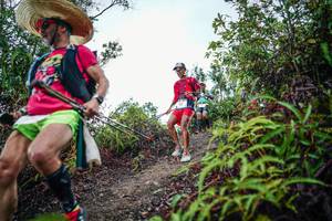 BIB: 
                            <button type="button" onclick="openModal(26199231)" class="btn btn-primary btn-sm float-right btn-popup" data-toggle="modal" data-target=".modal-high-quality">
                        <i class="fas fa-shopping-cart"></i> Add to Cart
                    </button>
                                            <button type="button" onclick="isThisMe(26199231, true)" class="btn btn-success btn-sm float-right btn-popup btn-isme hidden" data-toggle="tooltip" data-placement="bottom" title="นี่คือรูปของคุณใช่ไหม คลิกที่นี่เพื่อเอาเข้าอัลบั้ม">
                        <i class="fas fa-plus"></i> Add to album
                    </button>
                    <button type="button" onclick="isThisMe(26199231, false)" class="btn btn-warning btn-sm float-right btn-popup btn-isnotme hidden">
                        <i class="fas fa-ban"></i> Remove from album
                    </button>