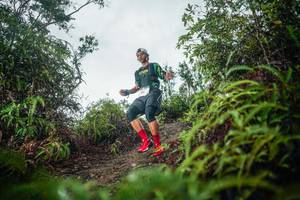 BIB: 
                            <button type="button" onclick="openModal(26198782)" class="btn btn-primary btn-sm float-right btn-popup" data-toggle="modal" data-target=".modal-high-quality">
                        <i class="fas fa-shopping-cart"></i> Add to Cart
                    </button>
                                            <button type="button" onclick="isThisMe(26198782, true)" class="btn btn-success btn-sm float-right btn-popup btn-isme hidden" data-toggle="tooltip" data-placement="bottom" title="นี่คือรูปของคุณใช่ไหม คลิกที่นี่เพื่อเอาเข้าอัลบั้ม">
                        <i class="fas fa-plus"></i> Add to album
                    </button>
                    <button type="button" onclick="isThisMe(26198782, false)" class="btn btn-warning btn-sm float-right btn-popup btn-isnotme hidden">
                        <i class="fas fa-ban"></i> Remove from album
                    </button>