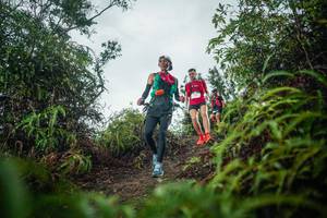 BIB: 
                            <button type="button" onclick="openModal(26199033)" class="btn btn-primary btn-sm float-right btn-popup" data-toggle="modal" data-target=".modal-high-quality">
                        <i class="fas fa-shopping-cart"></i> Add to Cart
                    </button>
                                            <button type="button" onclick="isThisMe(26199033, true)" class="btn btn-success btn-sm float-right btn-popup btn-isme hidden" data-toggle="tooltip" data-placement="bottom" title="นี่คือรูปของคุณใช่ไหม คลิกที่นี่เพื่อเอาเข้าอัลบั้ม">
                        <i class="fas fa-plus"></i> Add to album
                    </button>
                    <button type="button" onclick="isThisMe(26199033, false)" class="btn btn-warning btn-sm float-right btn-popup btn-isnotme hidden">
                        <i class="fas fa-ban"></i> Remove from album
                    </button>