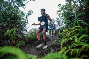 BIB: 
                            <button type="button" onclick="openModal(26336025)" class="btn btn-primary btn-sm float-right btn-popup" data-toggle="modal" data-target=".modal-high-quality">
                        <i class="fas fa-shopping-cart"></i> Add to Cart
                    </button>
                                            <button type="button" onclick="isThisMe(26336025, true)" class="btn btn-success btn-sm float-right btn-popup btn-isme hidden" data-toggle="tooltip" data-placement="bottom" title="นี่คือรูปของคุณใช่ไหม คลิกที่นี่เพื่อเอาเข้าอัลบั้ม">
                        <i class="fas fa-plus"></i> Add to album
                    </button>
                    <button type="button" onclick="isThisMe(26336025, false)" class="btn btn-warning btn-sm float-right btn-popup btn-isnotme hidden">
                        <i class="fas fa-ban"></i> Remove from album
                    </button>