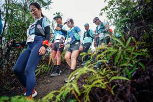 BIB: 
                            <button type="button" onclick="openModal(26414747)" class="btn btn-primary btn-sm float-right btn-popup" data-toggle="modal" data-target=".modal-high-quality">
                        <i class="fas fa-shopping-cart"></i> Add to Cart
                    </button>
                                            <button type="button" onclick="isThisMe(26414747, true)" class="btn btn-success btn-sm float-right btn-popup btn-isme hidden" data-toggle="tooltip" data-placement="bottom" title="นี่คือรูปของคุณใช่ไหม คลิกที่นี่เพื่อเอาเข้าอัลบั้ม">
                        <i class="fas fa-plus"></i> Add to album
                    </button>
                    <button type="button" onclick="isThisMe(26414747, false)" class="btn btn-warning btn-sm float-right btn-popup btn-isnotme hidden">
                        <i class="fas fa-ban"></i> Remove from album
                    </button>