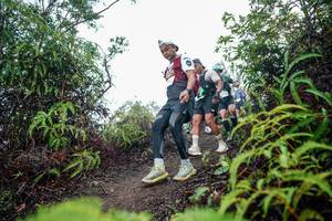 BIB: 
                            <button type="button" onclick="openModal(26399601)" class="btn btn-primary btn-sm float-right btn-popup" data-toggle="modal" data-target=".modal-high-quality">
                        <i class="fas fa-shopping-cart"></i> Add to Cart
                    </button>
                                            <button type="button" onclick="isThisMe(26399601, true)" class="btn btn-success btn-sm float-right btn-popup btn-isme hidden" data-toggle="tooltip" data-placement="bottom" title="นี่คือรูปของคุณใช่ไหม คลิกที่นี่เพื่อเอาเข้าอัลบั้ม">
                        <i class="fas fa-plus"></i> Add to album
                    </button>
                    <button type="button" onclick="isThisMe(26399601, false)" class="btn btn-warning btn-sm float-right btn-popup btn-isnotme hidden">
                        <i class="fas fa-ban"></i> Remove from album
                    </button>