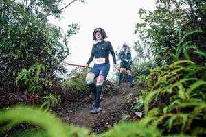 BIB: 
                            <button type="button" onclick="openModal(26358271)" class="btn btn-primary btn-sm float-right btn-popup" data-toggle="modal" data-target=".modal-high-quality">
                        <i class="fas fa-shopping-cart"></i> Add to Cart
                    </button>
                                            <button type="button" onclick="isThisMe(26358271, true)" class="btn btn-success btn-sm float-right btn-popup btn-isme hidden" data-toggle="tooltip" data-placement="bottom" title="นี่คือรูปของคุณใช่ไหม คลิกที่นี่เพื่อเอาเข้าอัลบั้ม">
                        <i class="fas fa-plus"></i> Add to album
                    </button>
                    <button type="button" onclick="isThisMe(26358271, false)" class="btn btn-warning btn-sm float-right btn-popup btn-isnotme hidden">
                        <i class="fas fa-ban"></i> Remove from album
                    </button>