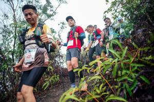 BIB: 
                            <button type="button" onclick="openModal(26415234)" class="btn btn-primary btn-sm float-right btn-popup" data-toggle="modal" data-target=".modal-high-quality">
                        <i class="fas fa-shopping-cart"></i> Add to Cart
                    </button>
                                            <button type="button" onclick="isThisMe(26415234, true)" class="btn btn-success btn-sm float-right btn-popup btn-isme hidden" data-toggle="tooltip" data-placement="bottom" title="นี่คือรูปของคุณใช่ไหม คลิกที่นี่เพื่อเอาเข้าอัลบั้ม">
                        <i class="fas fa-plus"></i> Add to album
                    </button>
                    <button type="button" onclick="isThisMe(26415234, false)" class="btn btn-warning btn-sm float-right btn-popup btn-isnotme hidden">
                        <i class="fas fa-ban"></i> Remove from album
                    </button>