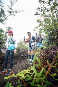 BIB: 
                            <button type="button" onclick="openModal(26416274)" class="btn btn-primary btn-sm float-right btn-popup" data-toggle="modal" data-target=".modal-high-quality">
                        <i class="fas fa-shopping-cart"></i> Add to Cart
                    </button>
                                            <button type="button" onclick="isThisMe(26416274, true)" class="btn btn-success btn-sm float-right btn-popup btn-isme hidden" data-toggle="tooltip" data-placement="bottom" title="นี่คือรูปของคุณใช่ไหม คลิกที่นี่เพื่อเอาเข้าอัลบั้ม">
                        <i class="fas fa-plus"></i> Add to album
                    </button>
                    <button type="button" onclick="isThisMe(26416274, false)" class="btn btn-warning btn-sm float-right btn-popup btn-isnotme hidden">
                        <i class="fas fa-ban"></i> Remove from album
                    </button>