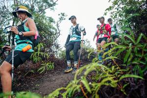 BIB: 
                            <button type="button" onclick="openModal(26414361)" class="btn btn-primary btn-sm float-right btn-popup" data-toggle="modal" data-target=".modal-high-quality">
                        <i class="fas fa-shopping-cart"></i> Add to Cart
                    </button>
                                            <button type="button" onclick="isThisMe(26414361, true)" class="btn btn-success btn-sm float-right btn-popup btn-isme hidden" data-toggle="tooltip" data-placement="bottom" title="นี่คือรูปของคุณใช่ไหม คลิกที่นี่เพื่อเอาเข้าอัลบั้ม">
                        <i class="fas fa-plus"></i> Add to album
                    </button>
                    <button type="button" onclick="isThisMe(26414361, false)" class="btn btn-warning btn-sm float-right btn-popup btn-isnotme hidden">
                        <i class="fas fa-ban"></i> Remove from album
                    </button>