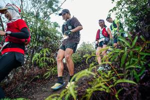 BIB: 
                            <button type="button" onclick="openModal(26414239)" class="btn btn-primary btn-sm float-right btn-popup" data-toggle="modal" data-target=".modal-high-quality">
                        <i class="fas fa-shopping-cart"></i> Add to Cart
                    </button>
                                            <button type="button" onclick="isThisMe(26414239, true)" class="btn btn-success btn-sm float-right btn-popup btn-isme hidden" data-toggle="tooltip" data-placement="bottom" title="นี่คือรูปของคุณใช่ไหม คลิกที่นี่เพื่อเอาเข้าอัลบั้ม">
                        <i class="fas fa-plus"></i> Add to album
                    </button>
                    <button type="button" onclick="isThisMe(26414239, false)" class="btn btn-warning btn-sm float-right btn-popup btn-isnotme hidden">
                        <i class="fas fa-ban"></i> Remove from album
                    </button>