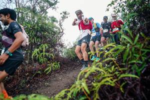 BIB: 
                            <button type="button" onclick="openModal(26414157)" class="btn btn-primary btn-sm float-right btn-popup" data-toggle="modal" data-target=".modal-high-quality">
                        <i class="fas fa-shopping-cart"></i> Add to Cart
                    </button>
                                            <button type="button" onclick="isThisMe(26414157, true)" class="btn btn-success btn-sm float-right btn-popup btn-isme hidden" data-toggle="tooltip" data-placement="bottom" title="นี่คือรูปของคุณใช่ไหม คลิกที่นี่เพื่อเอาเข้าอัลบั้ม">
                        <i class="fas fa-plus"></i> Add to album
                    </button>
                    <button type="button" onclick="isThisMe(26414157, false)" class="btn btn-warning btn-sm float-right btn-popup btn-isnotme hidden">
                        <i class="fas fa-ban"></i> Remove from album
                    </button>