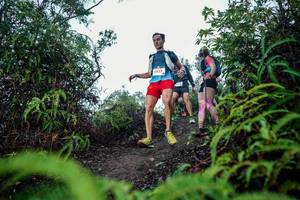 BIB: 
                            <button type="button" onclick="openModal(26318994)" class="btn btn-primary btn-sm float-right btn-popup" data-toggle="modal" data-target=".modal-high-quality">
                        <i class="fas fa-shopping-cart"></i> Add to Cart
                    </button>
                                            <button type="button" onclick="isThisMe(26318994, true)" class="btn btn-success btn-sm float-right btn-popup btn-isme hidden" data-toggle="tooltip" data-placement="bottom" title="นี่คือรูปของคุณใช่ไหม คลิกที่นี่เพื่อเอาเข้าอัลบั้ม">
                        <i class="fas fa-plus"></i> Add to album
                    </button>
                    <button type="button" onclick="isThisMe(26318994, false)" class="btn btn-warning btn-sm float-right btn-popup btn-isnotme hidden">
                        <i class="fas fa-ban"></i> Remove from album
                    </button>