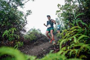 BIB: 
                            <button type="button" onclick="openModal(26353032)" class="btn btn-primary btn-sm float-right btn-popup" data-toggle="modal" data-target=".modal-high-quality">
                        <i class="fas fa-shopping-cart"></i> Add to Cart
                    </button>
                                            <button type="button" onclick="isThisMe(26353032, true)" class="btn btn-success btn-sm float-right btn-popup btn-isme hidden" data-toggle="tooltip" data-placement="bottom" title="นี่คือรูปของคุณใช่ไหม คลิกที่นี่เพื่อเอาเข้าอัลบั้ม">
                        <i class="fas fa-plus"></i> Add to album
                    </button>
                    <button type="button" onclick="isThisMe(26353032, false)" class="btn btn-warning btn-sm float-right btn-popup btn-isnotme hidden">
                        <i class="fas fa-ban"></i> Remove from album
                    </button>