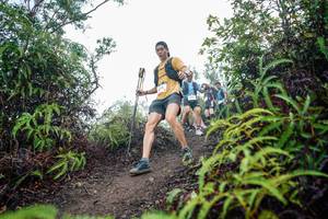 BIB: 
                            <button type="button" onclick="openModal(26403968)" class="btn btn-primary btn-sm float-right btn-popup" data-toggle="modal" data-target=".modal-high-quality">
                        <i class="fas fa-shopping-cart"></i> Add to Cart
                    </button>
                                            <button type="button" onclick="isThisMe(26403968, true)" class="btn btn-success btn-sm float-right btn-popup btn-isme hidden" data-toggle="tooltip" data-placement="bottom" title="นี่คือรูปของคุณใช่ไหม คลิกที่นี่เพื่อเอาเข้าอัลบั้ม">
                        <i class="fas fa-plus"></i> Add to album
                    </button>
                    <button type="button" onclick="isThisMe(26403968, false)" class="btn btn-warning btn-sm float-right btn-popup btn-isnotme hidden">
                        <i class="fas fa-ban"></i> Remove from album
                    </button>