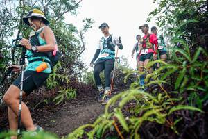 BIB: 
                            <button type="button" onclick="openModal(26414355)" class="btn btn-primary btn-sm float-right btn-popup" data-toggle="modal" data-target=".modal-high-quality">
                        <i class="fas fa-shopping-cart"></i> Add to Cart
                    </button>
                                            <button type="button" onclick="isThisMe(26414355, true)" class="btn btn-success btn-sm float-right btn-popup btn-isme hidden" data-toggle="tooltip" data-placement="bottom" title="นี่คือรูปของคุณใช่ไหม คลิกที่นี่เพื่อเอาเข้าอัลบั้ม">
                        <i class="fas fa-plus"></i> Add to album
                    </button>
                    <button type="button" onclick="isThisMe(26414355, false)" class="btn btn-warning btn-sm float-right btn-popup btn-isnotme hidden">
                        <i class="fas fa-ban"></i> Remove from album
                    </button>