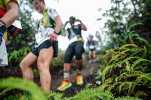 BIB: 
                            <button type="button" onclick="openModal(26376181)" class="btn btn-primary btn-sm float-right btn-popup" data-toggle="modal" data-target=".modal-high-quality">
                        <i class="fas fa-shopping-cart"></i> Add to Cart
                    </button>
                                            <button type="button" onclick="isThisMe(26376181, true)" class="btn btn-success btn-sm float-right btn-popup btn-isme hidden" data-toggle="tooltip" data-placement="bottom" title="นี่คือรูปของคุณใช่ไหม คลิกที่นี่เพื่อเอาเข้าอัลบั้ม">
                        <i class="fas fa-plus"></i> Add to album
                    </button>
                    <button type="button" onclick="isThisMe(26376181, false)" class="btn btn-warning btn-sm float-right btn-popup btn-isnotme hidden">
                        <i class="fas fa-ban"></i> Remove from album
                    </button>