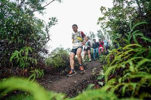 BIB: 
                            <button type="button" onclick="openModal(26365361)" class="btn btn-primary btn-sm float-right btn-popup" data-toggle="modal" data-target=".modal-high-quality">
                        <i class="fas fa-shopping-cart"></i> Add to Cart
                    </button>
                                            <button type="button" onclick="isThisMe(26365361, true)" class="btn btn-success btn-sm float-right btn-popup btn-isme hidden" data-toggle="tooltip" data-placement="bottom" title="นี่คือรูปของคุณใช่ไหม คลิกที่นี่เพื่อเอาเข้าอัลบั้ม">
                        <i class="fas fa-plus"></i> Add to album
                    </button>
                    <button type="button" onclick="isThisMe(26365361, false)" class="btn btn-warning btn-sm float-right btn-popup btn-isnotme hidden">
                        <i class="fas fa-ban"></i> Remove from album
                    </button>