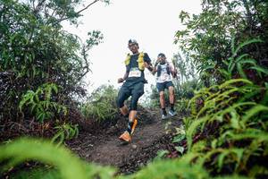 BIB: 
                            <button type="button" onclick="openModal(26357881)" class="btn btn-primary btn-sm float-right btn-popup" data-toggle="modal" data-target=".modal-high-quality">
                        <i class="fas fa-shopping-cart"></i> Add to Cart
                    </button>
                                            <button type="button" onclick="isThisMe(26357881, true)" class="btn btn-success btn-sm float-right btn-popup btn-isme hidden" data-toggle="tooltip" data-placement="bottom" title="นี่คือรูปของคุณใช่ไหม คลิกที่นี่เพื่อเอาเข้าอัลบั้ม">
                        <i class="fas fa-plus"></i> Add to album
                    </button>
                    <button type="button" onclick="isThisMe(26357881, false)" class="btn btn-warning btn-sm float-right btn-popup btn-isnotme hidden">
                        <i class="fas fa-ban"></i> Remove from album
                    </button>