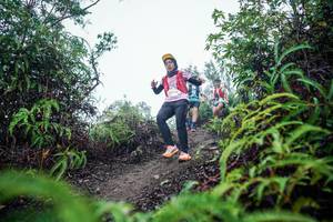 BIB: 
                            <button type="button" onclick="openModal(26311295)" class="btn btn-primary btn-sm float-right btn-popup" data-toggle="modal" data-target=".modal-high-quality">
                        <i class="fas fa-shopping-cart"></i> Add to Cart
                    </button>
                                            <button type="button" onclick="isThisMe(26311295, true)" class="btn btn-success btn-sm float-right btn-popup btn-isme hidden" data-toggle="tooltip" data-placement="bottom" title="นี่คือรูปของคุณใช่ไหม คลิกที่นี่เพื่อเอาเข้าอัลบั้ม">
                        <i class="fas fa-plus"></i> Add to album
                    </button>
                    <button type="button" onclick="isThisMe(26311295, false)" class="btn btn-warning btn-sm float-right btn-popup btn-isnotme hidden">
                        <i class="fas fa-ban"></i> Remove from album
                    </button>