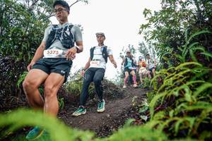 BIB: 
                            <button type="button" onclick="openModal(26373702)" class="btn btn-primary btn-sm float-right btn-popup" data-toggle="modal" data-target=".modal-high-quality">
                        <i class="fas fa-shopping-cart"></i> Add to Cart
                    </button>
                                            <button type="button" onclick="isThisMe(26373702, true)" class="btn btn-success btn-sm float-right btn-popup btn-isme hidden" data-toggle="tooltip" data-placement="bottom" title="นี่คือรูปของคุณใช่ไหม คลิกที่นี่เพื่อเอาเข้าอัลบั้ม">
                        <i class="fas fa-plus"></i> Add to album
                    </button>
                    <button type="button" onclick="isThisMe(26373702, false)" class="btn btn-warning btn-sm float-right btn-popup btn-isnotme hidden">
                        <i class="fas fa-ban"></i> Remove from album
                    </button>