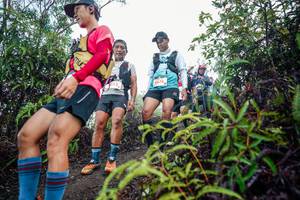 BIB: 
                            <button type="button" onclick="openModal(26414374)" class="btn btn-primary btn-sm float-right btn-popup" data-toggle="modal" data-target=".modal-high-quality">
                        <i class="fas fa-shopping-cart"></i> Add to Cart
                    </button>
                                            <button type="button" onclick="isThisMe(26414374, true)" class="btn btn-success btn-sm float-right btn-popup btn-isme hidden" data-toggle="tooltip" data-placement="bottom" title="นี่คือรูปของคุณใช่ไหม คลิกที่นี่เพื่อเอาเข้าอัลบั้ม">
                        <i class="fas fa-plus"></i> Add to album
                    </button>
                    <button type="button" onclick="isThisMe(26414374, false)" class="btn btn-warning btn-sm float-right btn-popup btn-isnotme hidden">
                        <i class="fas fa-ban"></i> Remove from album
                    </button>