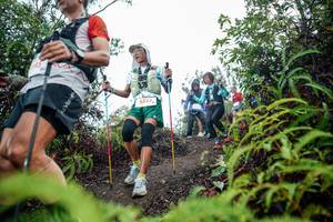 BIB: 
                            <button type="button" onclick="openModal(26376495)" class="btn btn-primary btn-sm float-right btn-popup" data-toggle="modal" data-target=".modal-high-quality">
                        <i class="fas fa-shopping-cart"></i> Add to Cart
                    </button>
                                            <button type="button" onclick="isThisMe(26376495, true)" class="btn btn-success btn-sm float-right btn-popup btn-isme hidden" data-toggle="tooltip" data-placement="bottom" title="นี่คือรูปของคุณใช่ไหม คลิกที่นี่เพื่อเอาเข้าอัลบั้ม">
                        <i class="fas fa-plus"></i> Add to album
                    </button>
                    <button type="button" onclick="isThisMe(26376495, false)" class="btn btn-warning btn-sm float-right btn-popup btn-isnotme hidden">
                        <i class="fas fa-ban"></i> Remove from album
                    </button>