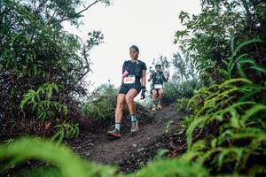 BIB: 
                            <button type="button" onclick="openModal(26344643)" class="btn btn-primary btn-sm float-right btn-popup" data-toggle="modal" data-target=".modal-high-quality">
                        <i class="fas fa-shopping-cart"></i> Add to Cart
                    </button>
                                            <button type="button" onclick="isThisMe(26344643, true)" class="btn btn-success btn-sm float-right btn-popup btn-isme hidden" data-toggle="tooltip" data-placement="bottom" title="นี่คือรูปของคุณใช่ไหม คลิกที่นี่เพื่อเอาเข้าอัลบั้ม">
                        <i class="fas fa-plus"></i> Add to album
                    </button>
                    <button type="button" onclick="isThisMe(26344643, false)" class="btn btn-warning btn-sm float-right btn-popup btn-isnotme hidden">
                        <i class="fas fa-ban"></i> Remove from album
                    </button>