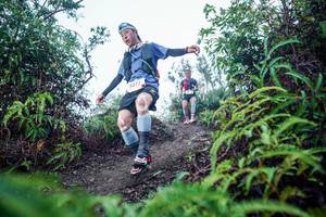 BIB: 
                            <button type="button" onclick="openModal(26295737)" class="btn btn-primary btn-sm float-right btn-popup" data-toggle="modal" data-target=".modal-high-quality">
                        <i class="fas fa-shopping-cart"></i> Add to Cart
                    </button>
                                            <button type="button" onclick="isThisMe(26295737, true)" class="btn btn-success btn-sm float-right btn-popup btn-isme hidden" data-toggle="tooltip" data-placement="bottom" title="นี่คือรูปของคุณใช่ไหม คลิกที่นี่เพื่อเอาเข้าอัลบั้ม">
                        <i class="fas fa-plus"></i> Add to album
                    </button>
                    <button type="button" onclick="isThisMe(26295737, false)" class="btn btn-warning btn-sm float-right btn-popup btn-isnotme hidden">
                        <i class="fas fa-ban"></i> Remove from album
                    </button>