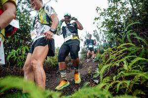 BIB: 
                            <button type="button" onclick="openModal(26376208)" class="btn btn-primary btn-sm float-right btn-popup" data-toggle="modal" data-target=".modal-high-quality">
                        <i class="fas fa-shopping-cart"></i> Add to Cart
                    </button>
                                            <button type="button" onclick="isThisMe(26376208, true)" class="btn btn-success btn-sm float-right btn-popup btn-isme hidden" data-toggle="tooltip" data-placement="bottom" title="นี่คือรูปของคุณใช่ไหม คลิกที่นี่เพื่อเอาเข้าอัลบั้ม">
                        <i class="fas fa-plus"></i> Add to album
                    </button>
                    <button type="button" onclick="isThisMe(26376208, false)" class="btn btn-warning btn-sm float-right btn-popup btn-isnotme hidden">
                        <i class="fas fa-ban"></i> Remove from album
                    </button>