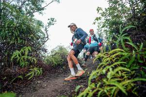 BIB: 
                            <button type="button" onclick="openModal(26413939)" class="btn btn-primary btn-sm float-right btn-popup" data-toggle="modal" data-target=".modal-high-quality">
                        <i class="fas fa-shopping-cart"></i> Add to Cart
                    </button>
                                            <button type="button" onclick="isThisMe(26413939, true)" class="btn btn-success btn-sm float-right btn-popup btn-isme hidden" data-toggle="tooltip" data-placement="bottom" title="นี่คือรูปของคุณใช่ไหม คลิกที่นี่เพื่อเอาเข้าอัลบั้ม">
                        <i class="fas fa-plus"></i> Add to album
                    </button>
                    <button type="button" onclick="isThisMe(26413939, false)" class="btn btn-warning btn-sm float-right btn-popup btn-isnotme hidden">
                        <i class="fas fa-ban"></i> Remove from album
                    </button>