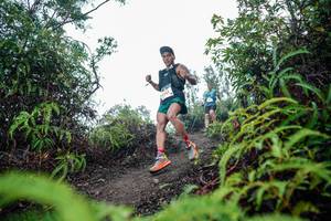 BIB: 
                            <button type="button" onclick="openModal(26353150)" class="btn btn-primary btn-sm float-right btn-popup" data-toggle="modal" data-target=".modal-high-quality">
                        <i class="fas fa-shopping-cart"></i> Add to Cart
                    </button>
                                            <button type="button" onclick="isThisMe(26353150, true)" class="btn btn-success btn-sm float-right btn-popup btn-isme hidden" data-toggle="tooltip" data-placement="bottom" title="นี่คือรูปของคุณใช่ไหม คลิกที่นี่เพื่อเอาเข้าอัลบั้ม">
                        <i class="fas fa-plus"></i> Add to album
                    </button>
                    <button type="button" onclick="isThisMe(26353150, false)" class="btn btn-warning btn-sm float-right btn-popup btn-isnotme hidden">
                        <i class="fas fa-ban"></i> Remove from album
                    </button>