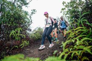 BIB: 
                            <button type="button" onclick="openModal(26401485)" class="btn btn-primary btn-sm float-right btn-popup" data-toggle="modal" data-target=".modal-high-quality">
                        <i class="fas fa-shopping-cart"></i> Add to Cart
                    </button>
                                            <button type="button" onclick="isThisMe(26401485, true)" class="btn btn-success btn-sm float-right btn-popup btn-isme hidden" data-toggle="tooltip" data-placement="bottom" title="นี่คือรูปของคุณใช่ไหม คลิกที่นี่เพื่อเอาเข้าอัลบั้ม">
                        <i class="fas fa-plus"></i> Add to album
                    </button>
                    <button type="button" onclick="isThisMe(26401485, false)" class="btn btn-warning btn-sm float-right btn-popup btn-isnotme hidden">
                        <i class="fas fa-ban"></i> Remove from album
                    </button>