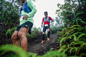 BIB: 
                            <button type="button" onclick="openModal(26340608)" class="btn btn-primary btn-sm float-right btn-popup" data-toggle="modal" data-target=".modal-high-quality">
                        <i class="fas fa-shopping-cart"></i> Add to Cart
                    </button>
                                            <button type="button" onclick="isThisMe(26340608, true)" class="btn btn-success btn-sm float-right btn-popup btn-isme hidden" data-toggle="tooltip" data-placement="bottom" title="นี่คือรูปของคุณใช่ไหม คลิกที่นี่เพื่อเอาเข้าอัลบั้ม">
                        <i class="fas fa-plus"></i> Add to album
                    </button>
                    <button type="button" onclick="isThisMe(26340608, false)" class="btn btn-warning btn-sm float-right btn-popup btn-isnotme hidden">
                        <i class="fas fa-ban"></i> Remove from album
                    </button>