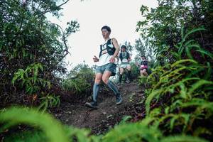 BIB: 
                            <button type="button" onclick="openModal(26326567)" class="btn btn-primary btn-sm float-right btn-popup" data-toggle="modal" data-target=".modal-high-quality">
                        <i class="fas fa-shopping-cart"></i> Add to Cart
                    </button>
                                            <button type="button" onclick="isThisMe(26326567, true)" class="btn btn-success btn-sm float-right btn-popup btn-isme hidden" data-toggle="tooltip" data-placement="bottom" title="นี่คือรูปของคุณใช่ไหม คลิกที่นี่เพื่อเอาเข้าอัลบั้ม">
                        <i class="fas fa-plus"></i> Add to album
                    </button>
                    <button type="button" onclick="isThisMe(26326567, false)" class="btn btn-warning btn-sm float-right btn-popup btn-isnotme hidden">
                        <i class="fas fa-ban"></i> Remove from album
                    </button>