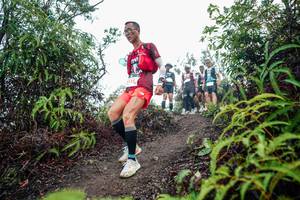 BIB: 
                            <button type="button" onclick="openModal(26398092)" class="btn btn-primary btn-sm float-right btn-popup" data-toggle="modal" data-target=".modal-high-quality">
                        <i class="fas fa-shopping-cart"></i> Add to Cart
                    </button>
                                            <button type="button" onclick="isThisMe(26398092, true)" class="btn btn-success btn-sm float-right btn-popup btn-isme hidden" data-toggle="tooltip" data-placement="bottom" title="นี่คือรูปของคุณใช่ไหม คลิกที่นี่เพื่อเอาเข้าอัลบั้ม">
                        <i class="fas fa-plus"></i> Add to album
                    </button>
                    <button type="button" onclick="isThisMe(26398092, false)" class="btn btn-warning btn-sm float-right btn-popup btn-isnotme hidden">
                        <i class="fas fa-ban"></i> Remove from album
                    </button>