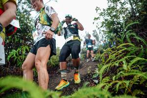 BIB: 
                            <button type="button" onclick="openModal(26376189)" class="btn btn-primary btn-sm float-right btn-popup" data-toggle="modal" data-target=".modal-high-quality">
                        <i class="fas fa-shopping-cart"></i> Add to Cart
                    </button>
                                            <button type="button" onclick="isThisMe(26376189, true)" class="btn btn-success btn-sm float-right btn-popup btn-isme hidden" data-toggle="tooltip" data-placement="bottom" title="นี่คือรูปของคุณใช่ไหม คลิกที่นี่เพื่อเอาเข้าอัลบั้ม">
                        <i class="fas fa-plus"></i> Add to album
                    </button>
                    <button type="button" onclick="isThisMe(26376189, false)" class="btn btn-warning btn-sm float-right btn-popup btn-isnotme hidden">
                        <i class="fas fa-ban"></i> Remove from album
                    </button>