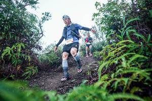 BIB: 
                            <button type="button" onclick="openModal(26295479)" class="btn btn-primary btn-sm float-right btn-popup" data-toggle="modal" data-target=".modal-high-quality">
                        <i class="fas fa-shopping-cart"></i> Add to Cart
                    </button>
                                            <button type="button" onclick="isThisMe(26295479, true)" class="btn btn-success btn-sm float-right btn-popup btn-isme hidden" data-toggle="tooltip" data-placement="bottom" title="นี่คือรูปของคุณใช่ไหม คลิกที่นี่เพื่อเอาเข้าอัลบั้ม">
                        <i class="fas fa-plus"></i> Add to album
                    </button>
                    <button type="button" onclick="isThisMe(26295479, false)" class="btn btn-warning btn-sm float-right btn-popup btn-isnotme hidden">
                        <i class="fas fa-ban"></i> Remove from album
                    </button>