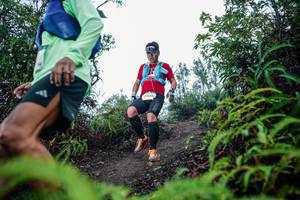 BIB: 
                            <button type="button" onclick="openModal(26342809)" class="btn btn-primary btn-sm float-right btn-popup" data-toggle="modal" data-target=".modal-high-quality">
                        <i class="fas fa-shopping-cart"></i> Add to Cart
                    </button>
                                            <button type="button" onclick="isThisMe(26342809, true)" class="btn btn-success btn-sm float-right btn-popup btn-isme hidden" data-toggle="tooltip" data-placement="bottom" title="นี่คือรูปของคุณใช่ไหม คลิกที่นี่เพื่อเอาเข้าอัลบั้ม">
                        <i class="fas fa-plus"></i> Add to album
                    </button>
                    <button type="button" onclick="isThisMe(26342809, false)" class="btn btn-warning btn-sm float-right btn-popup btn-isnotme hidden">
                        <i class="fas fa-ban"></i> Remove from album
                    </button>