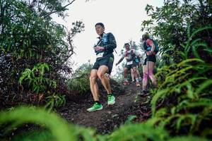 BIB: 
                            <button type="button" onclick="openModal(26319193)" class="btn btn-primary btn-sm float-right btn-popup" data-toggle="modal" data-target=".modal-high-quality">
                        <i class="fas fa-shopping-cart"></i> Add to Cart
                    </button>
                                            <button type="button" onclick="isThisMe(26319193, true)" class="btn btn-success btn-sm float-right btn-popup btn-isme hidden" data-toggle="tooltip" data-placement="bottom" title="นี่คือรูปของคุณใช่ไหม คลิกที่นี่เพื่อเอาเข้าอัลบั้ม">
                        <i class="fas fa-plus"></i> Add to album
                    </button>
                    <button type="button" onclick="isThisMe(26319193, false)" class="btn btn-warning btn-sm float-right btn-popup btn-isnotme hidden">
                        <i class="fas fa-ban"></i> Remove from album
                    </button>