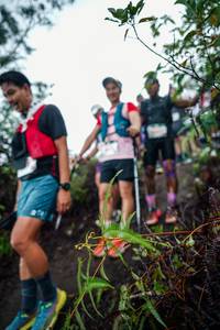 BIB: 
                            <button type="button" onclick="openModal(26417380)" class="btn btn-primary btn-sm float-right btn-popup" data-toggle="modal" data-target=".modal-high-quality">
                        <i class="fas fa-shopping-cart"></i> Add to Cart
                    </button>
                                            <button type="button" onclick="isThisMe(26417380, true)" class="btn btn-success btn-sm float-right btn-popup btn-isme hidden" data-toggle="tooltip" data-placement="bottom" title="นี่คือรูปของคุณใช่ไหม คลิกที่นี่เพื่อเอาเข้าอัลบั้ม">
                        <i class="fas fa-plus"></i> Add to album
                    </button>
                    <button type="button" onclick="isThisMe(26417380, false)" class="btn btn-warning btn-sm float-right btn-popup btn-isnotme hidden">
                        <i class="fas fa-ban"></i> Remove from album
                    </button>