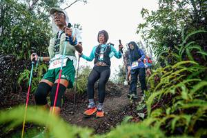 BIB: 
                            <button type="button" onclick="openModal(26376546)" class="btn btn-primary btn-sm float-right btn-popup" data-toggle="modal" data-target=".modal-high-quality">
                        <i class="fas fa-shopping-cart"></i> Add to Cart
                    </button>
                                            <button type="button" onclick="isThisMe(26376546, true)" class="btn btn-success btn-sm float-right btn-popup btn-isme hidden" data-toggle="tooltip" data-placement="bottom" title="นี่คือรูปของคุณใช่ไหม คลิกที่นี่เพื่อเอาเข้าอัลบั้ม">
                        <i class="fas fa-plus"></i> Add to album
                    </button>
                    <button type="button" onclick="isThisMe(26376546, false)" class="btn btn-warning btn-sm float-right btn-popup btn-isnotme hidden">
                        <i class="fas fa-ban"></i> Remove from album
                    </button>