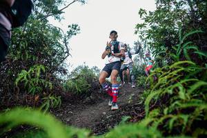 BIB: 
                            <button type="button" onclick="openModal(26338327)" class="btn btn-primary btn-sm float-right btn-popup" data-toggle="modal" data-target=".modal-high-quality">
                        <i class="fas fa-shopping-cart"></i> Add to Cart
                    </button>
                                            <button type="button" onclick="isThisMe(26338327, true)" class="btn btn-success btn-sm float-right btn-popup btn-isme hidden" data-toggle="tooltip" data-placement="bottom" title="นี่คือรูปของคุณใช่ไหม คลิกที่นี่เพื่อเอาเข้าอัลบั้ม">
                        <i class="fas fa-plus"></i> Add to album
                    </button>
                    <button type="button" onclick="isThisMe(26338327, false)" class="btn btn-warning btn-sm float-right btn-popup btn-isnotme hidden">
                        <i class="fas fa-ban"></i> Remove from album
                    </button>